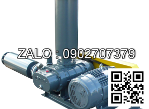 Máy Thổi Khí HEYWEL RSS-250