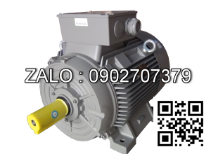 Động cơ điện SIEMENS 1LG4313-2AB60, 132 kW, 2 cực, chân đế