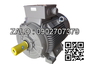 Động cơ điện SIEMENS 1LA7113-2AA60 2 cực