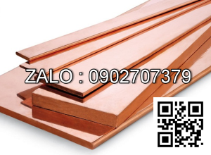 Đồng thanh cái C1100