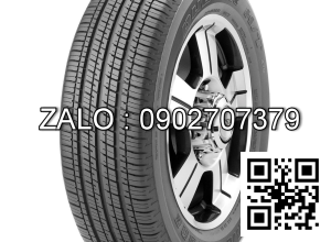 lốp xe BRIDGESTONE R224
