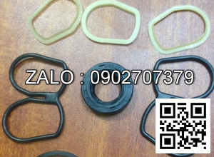 Bơm định lượng X030-XB-BAAC165