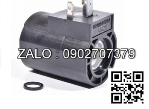 Cuộn coil R901080794 24VDC 374114 4WE6J70