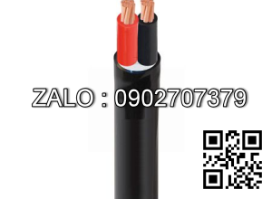 Cáp điện Cadivi CVV-2×120 – 0.6/1KV