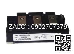 IGBT Module Mitsubishi CM300DY-24G