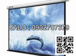 Màn chiếu treo tường ScreenPro WS3100