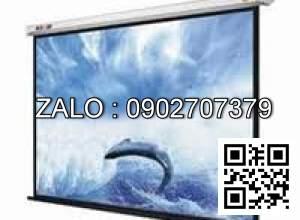 Màn chiếu treo tường ScreenPro WS1084