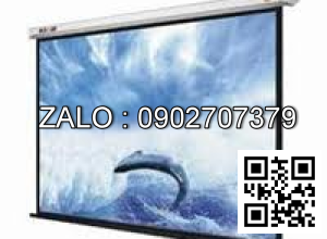 Màn chiếu treo tường ScreenPro WS3120
