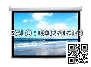 Màn chiếu điện điều khiển từ xa ScreenPro ES3100