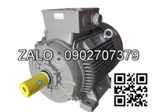 Động cơ điện Siemens 1LE1002-1CA12-2FA0