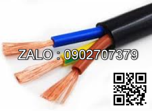 Cáp điện mềm vỏ cao su có lõi bố 3 x 2.5