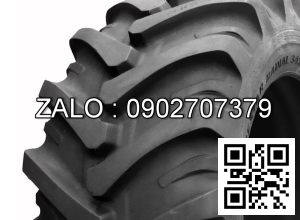 Lốp xe Trelleborg 32085R24 122A8 TM600