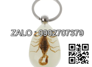 Móc Khóa Côn Trùng