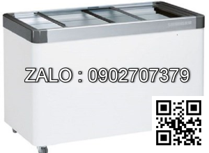 Tủ đông cánh trượt W-80