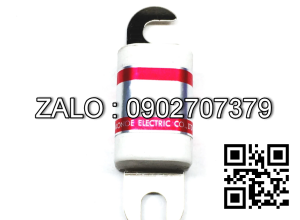 Cầu chì xe nâng BN-40A 40A 96V