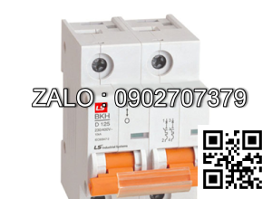 MCB LS BKH 125A 10KA 2P