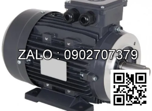 Motor giảm tốc Wanshsin 1/8 HP 100W đầu cốt 22 , tỉ số truyền 60-100