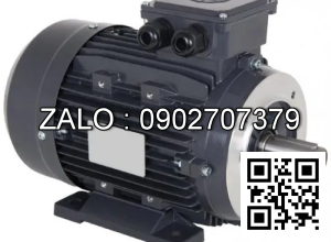 Motor giảm tốc Wanshsin 1/4 HP 200W đầu cốt 28 , tỉ số truyền 200
