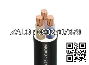 Dây cáp điện bọc PVC/CXV 3R CXV 3X16 mm