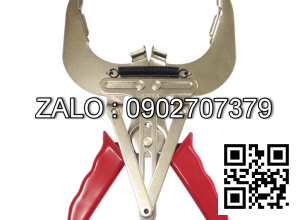 Kìm vô bạc Piston cao cấp 80 -- 120mm (trung)