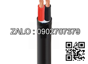 Dây cáp điện bọc PVC/PVC 2R CVV 2x70 mm