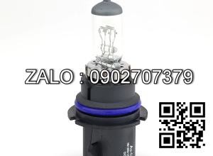 Bóng đèn 9004 12V 65/45W