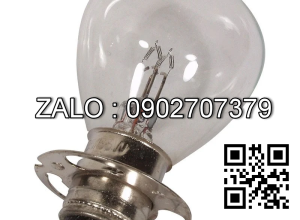 Bóng đèn 24V-62W/62W-P15D