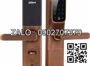 Khóa cửa Dahua DHI-ASL8112S