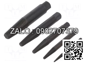 Bộ dụng cụ: mũi nhổ ốc gãy , 6chiếc; REN.4709013