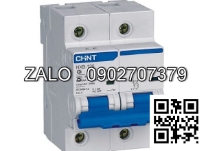 MCB Chint NXB-125 100A 10KA 2P