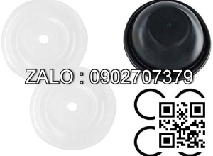 MÀNG BƠM PTFE - CAO SU
