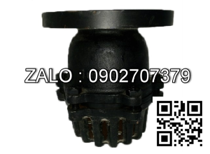 Rọ rôm mặt bích JIS 10K mạ kẽm DN32