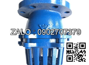 Rọ bơm mặt bích PN16 mạ kẽm DN32