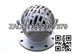 Rọ bơm mặt bích PN16 mạ kẽm DN100