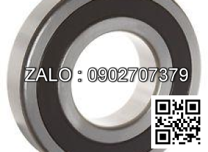 Bạc đạn NSK 6004 DDUCM