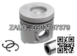 65.02501-0206: Piston & Pin & Snap Ring