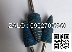 Nhám Cây, Nhám Trụ - Cây Nhám Trụ