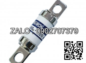 Cầu chì JR62-120A , 600V, 120A