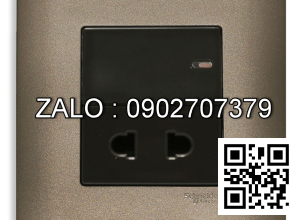 Ổ cắm đơn 2 chấu Clipsal / Schneider E8415U_SZ_G19