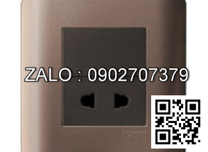 Ổ cắm đơn 2 chấu Clipsal / Schneider E84426U_SZ_G19