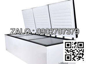 Tủ đông nằm ngang BD-70-1