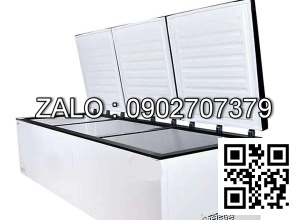 Tủ đông nằm ngang BD-62FA