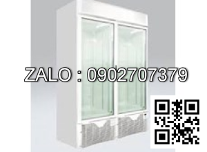 Tủ Đông Cánh Kính The Cool EXPO 1100 NV