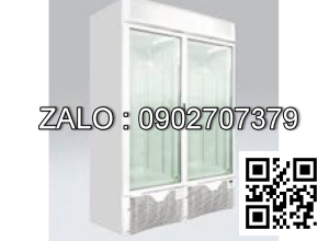 Tủ Đông Cánh Kính The Cool EXPO 500 NV