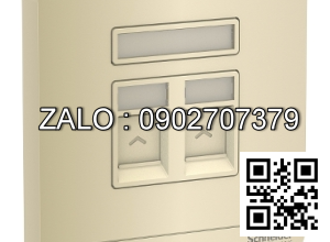 Bộ 2 ổ cắm mạng Clipsal / Schneider E8332RJS6_WG_G19