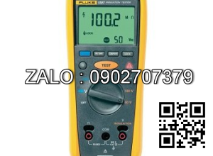 Đo điện trở cách điện, Mêgôm mét Fluke 1507