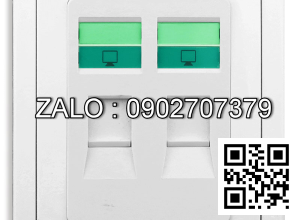 Bộ 2 ổ cắm mạng Clipsal / Schneider E3032RJ5E_WW_G19