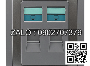 Bộ 2 ổ cắm mạng Clipsal / Schneider E3032RJ5E_GS_G19