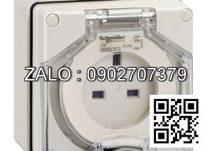 Ổ cắm Clipsal / Schneider S56SO313GY