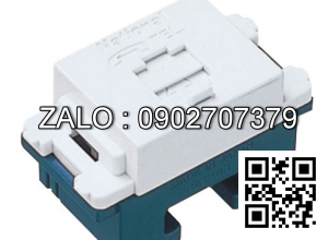 Ổ cắm điện thoại Panasonic WNTG15649W